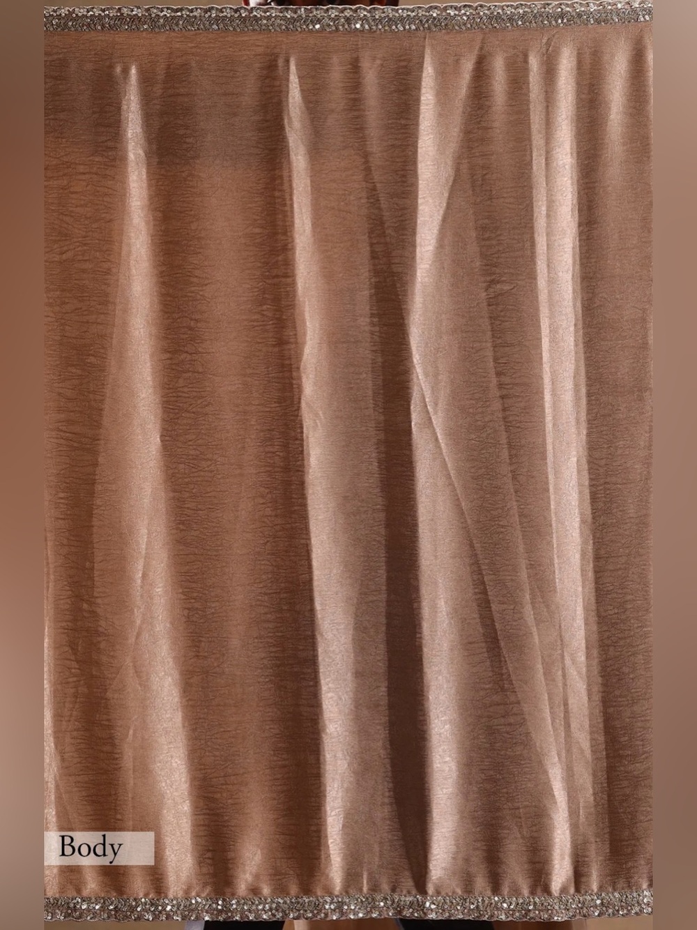 Elegant Beige Satin Saree with Silver Embellished Blouse - Picture 9 of 10